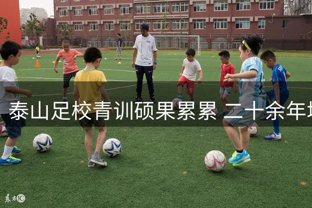 泰山足校青训硕果累累 二十余年培育328名国字号球员